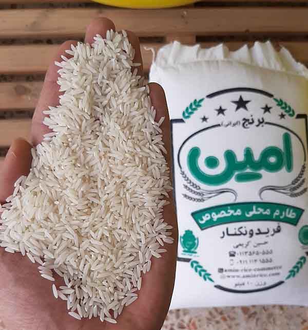 برنج فریدونکنار